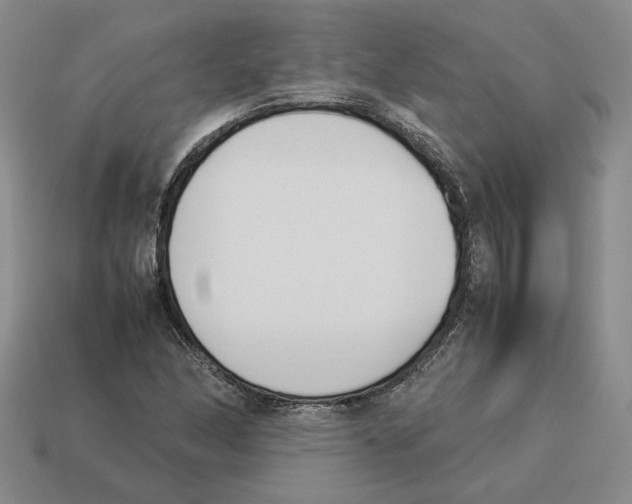 X0000114231166200911061522