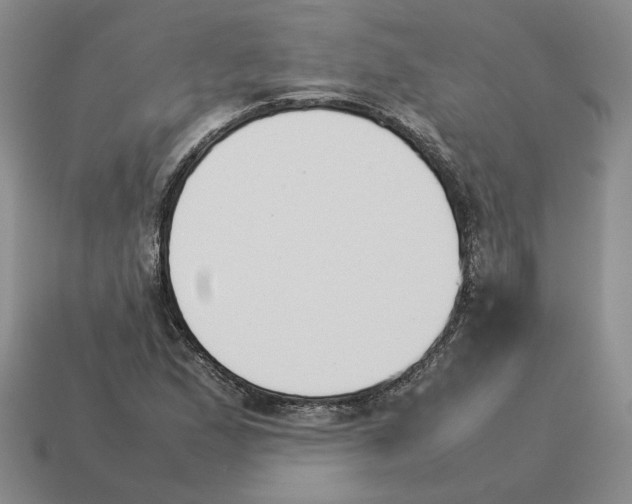 X0000114231167200911061522