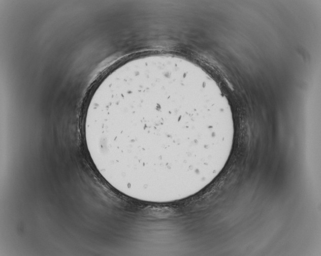 X0000114231168200911061522
