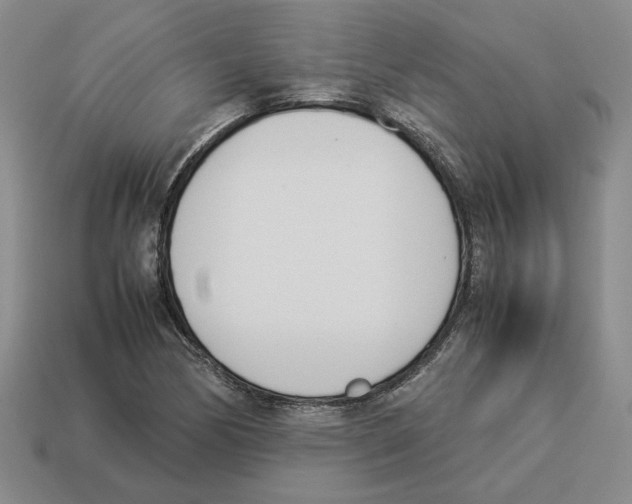X0000114231170200911061522