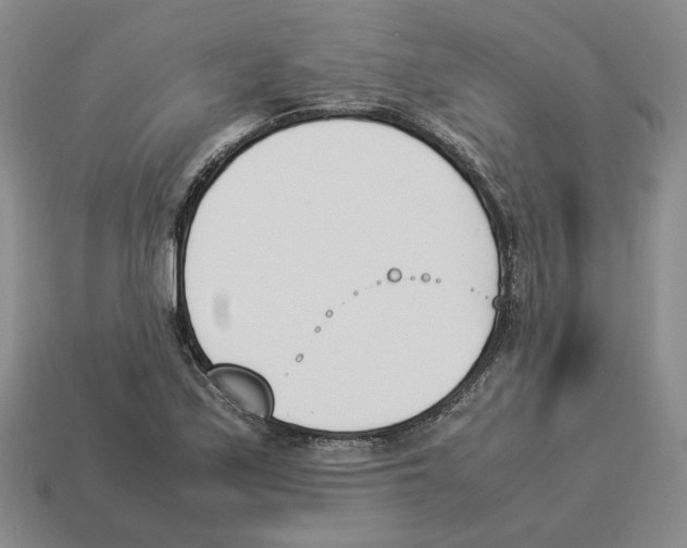 X0000114231171200911061522