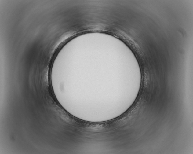 X0000114231174200911061522