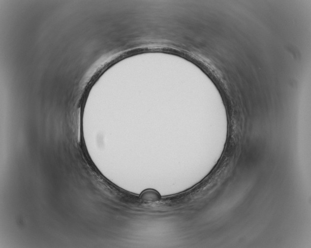 X0000114231175200911061522