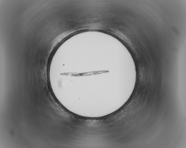 X0000114231176200911061522