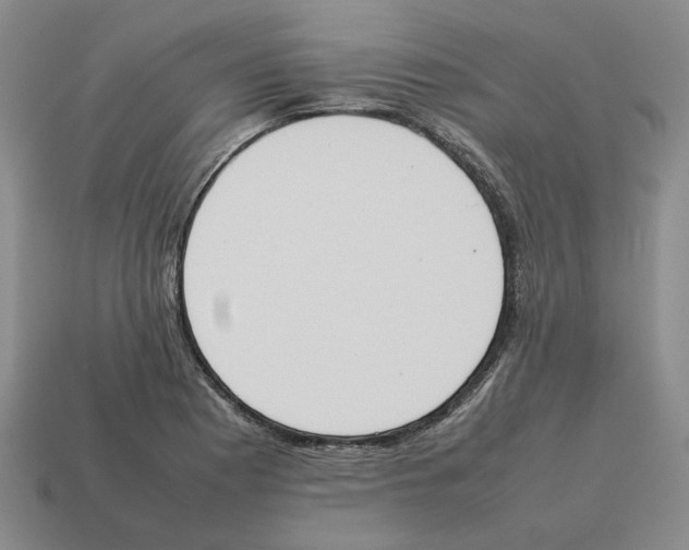X0000114231177200911061522