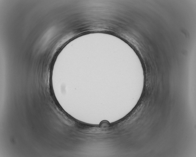 X0000114231179200911061522