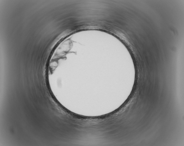 X0000114231181200911061522