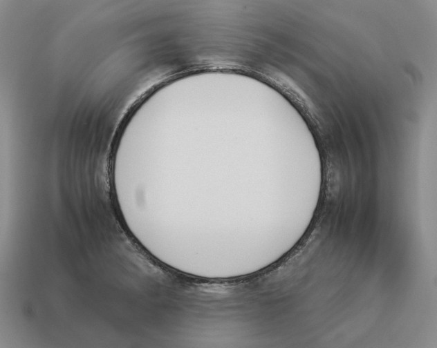 X0000114231182200911061522