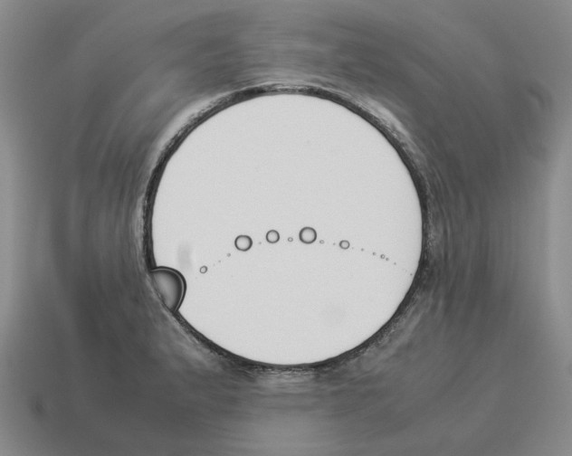X0000114231183200911061522