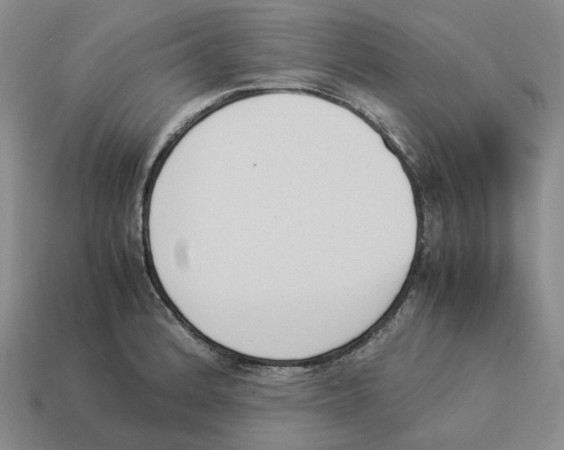 X0000114231184200911061522