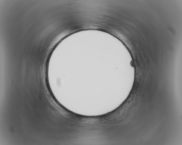 X0000114231187200911061522