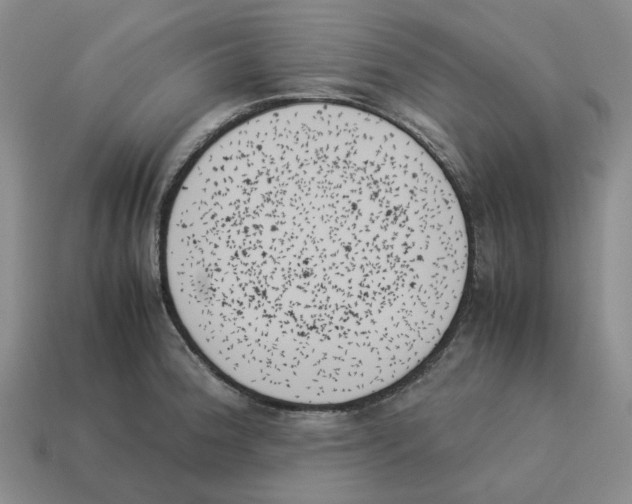 X0000114231188200911061521