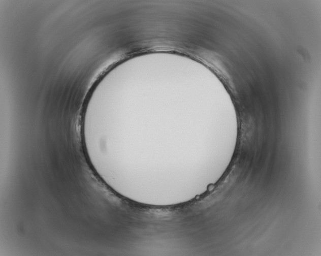 X0000114231190200911061521