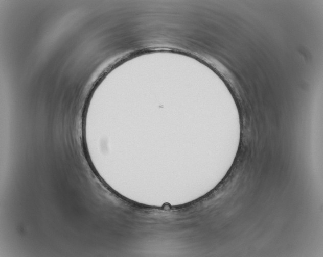 X0000114231191200911061521