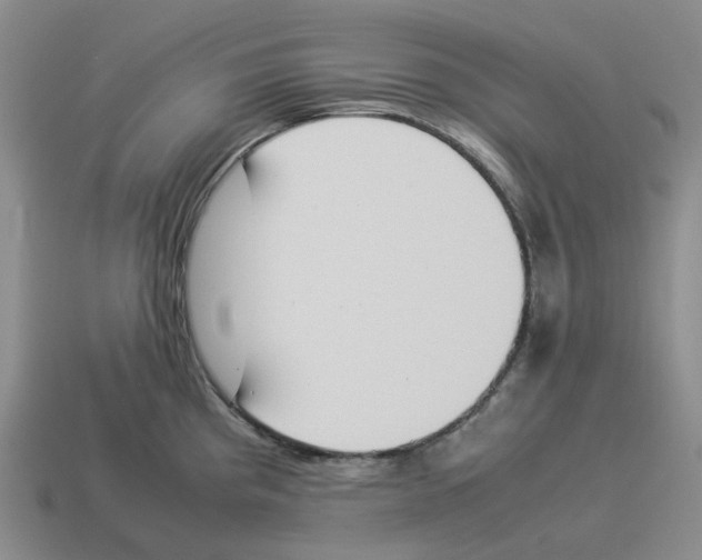 X0000114231193200911061521