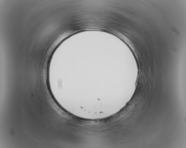 X0000114231195200911061521