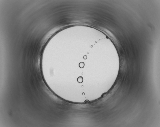 X0000114231196200911061521