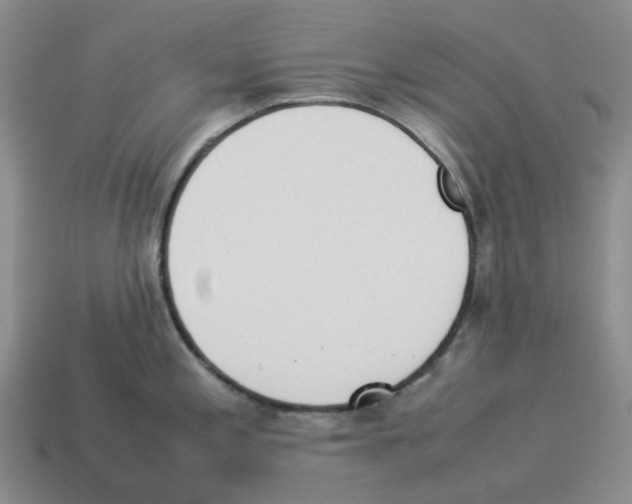 X0000114231197200911061521