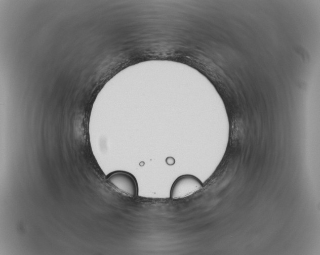 X0000114231202200911061521
