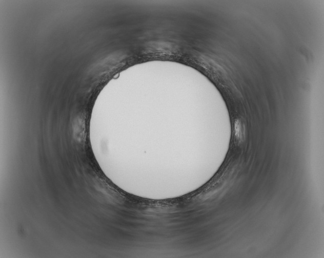 X0000114231203200911061521