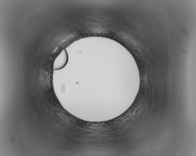 X0000114231205200911061521