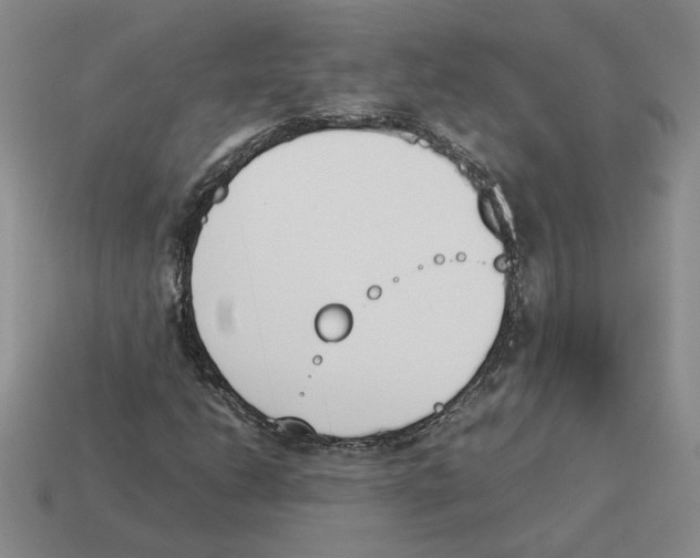 X0000114231206200911061521