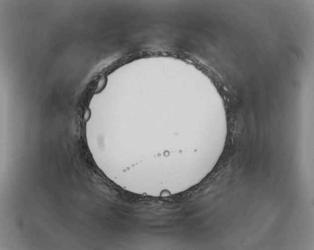 X0000114231207200911061521