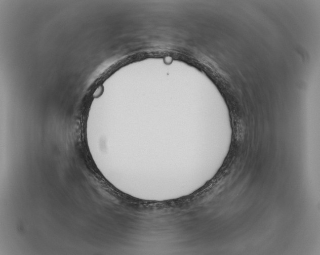 X0000114231208200911061521