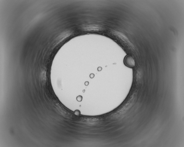X0000114231209200911061521
