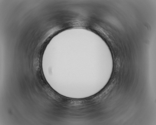 X0000114231211200911061521