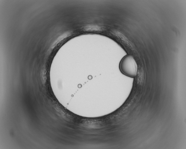 X0000114231213200911061521