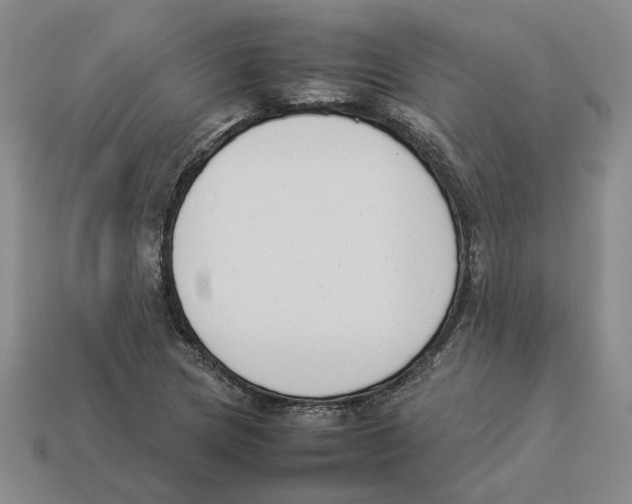 X0000114231217200911061521
