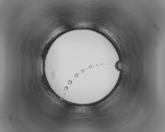 X0000114231219200911061521