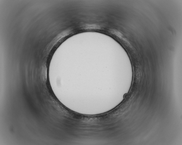 X0000114231221200911061521