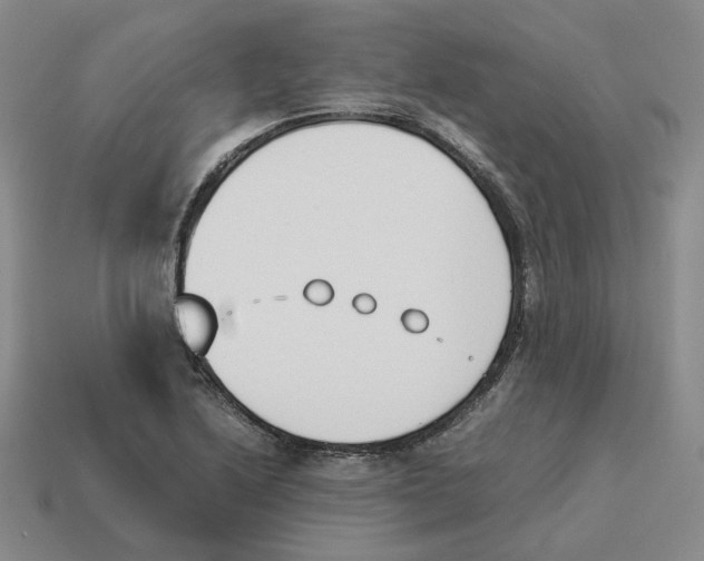 X0000114231222200911061521