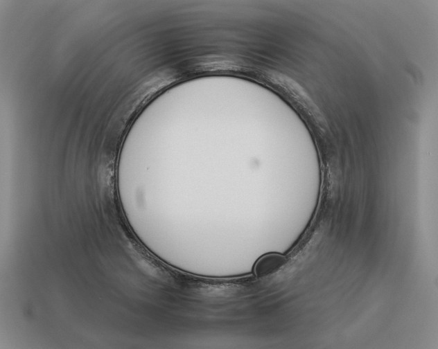 X0000114231225200911061521