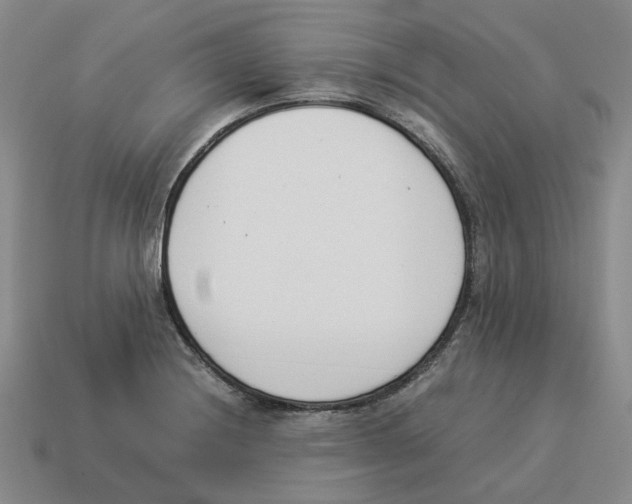 X0000114231228200911061521