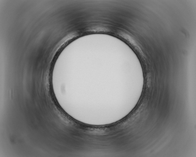X0000114231229200911061521