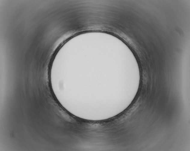 X0000114231230200911061521
