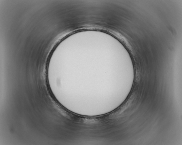 X0000114231231200911061521