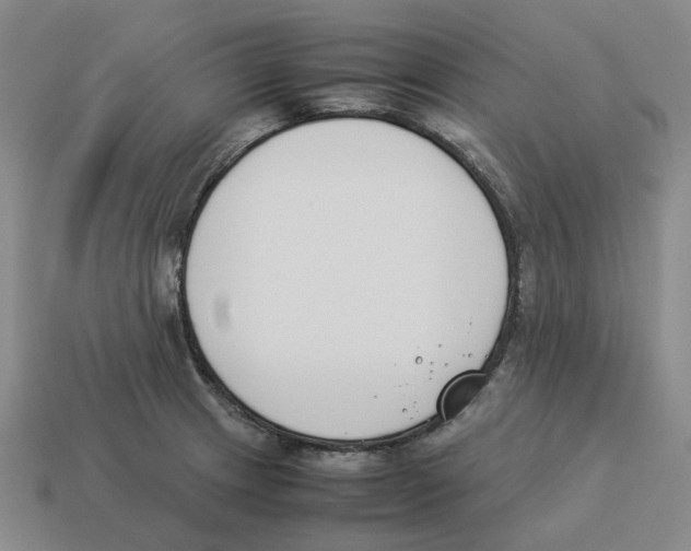X0000114231233200911061521
