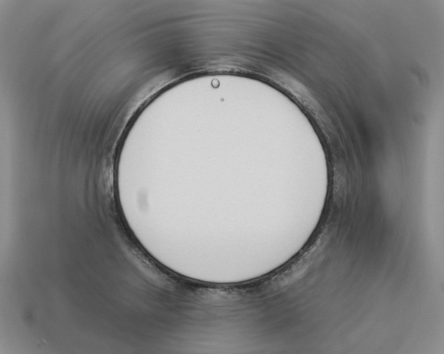 X0000114231234200911061521