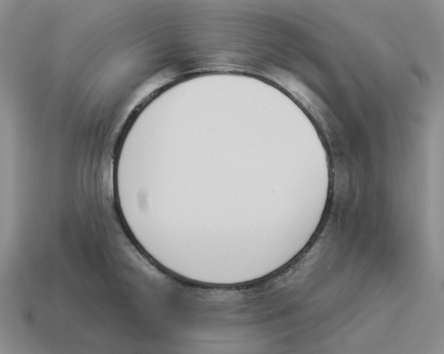 X0000114231238200911061521