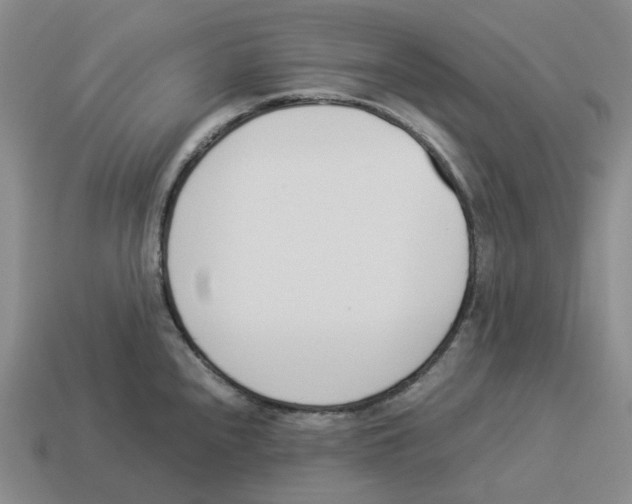 X0000114231240200911061521