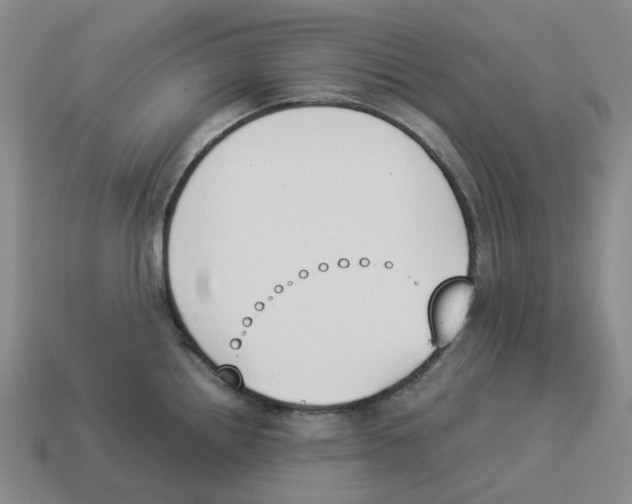 X0000114231242200911061521