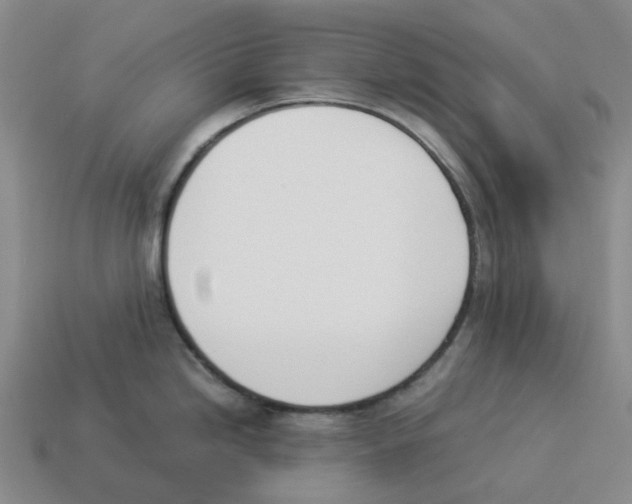 X0000114231246200911061521