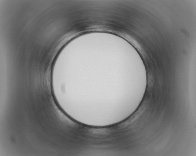 X0000114231247200911061521