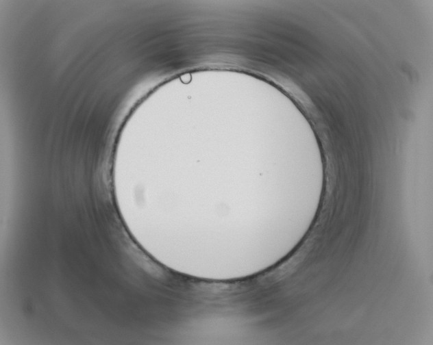 X0000114231248200911061521