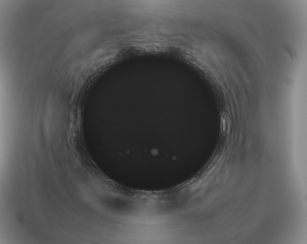 X0000114231251200911061521