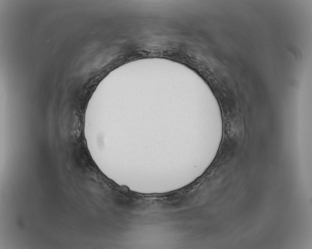 X0000114231253200911061521